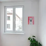 Appartement Coworking & Coliving
