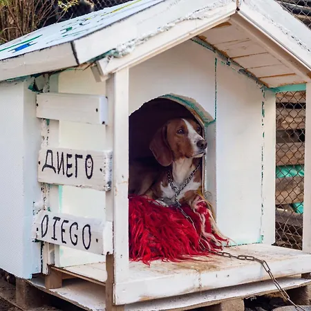 Apartment Coworking & Coliving