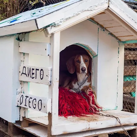 Coworking & Coliving Apartment *