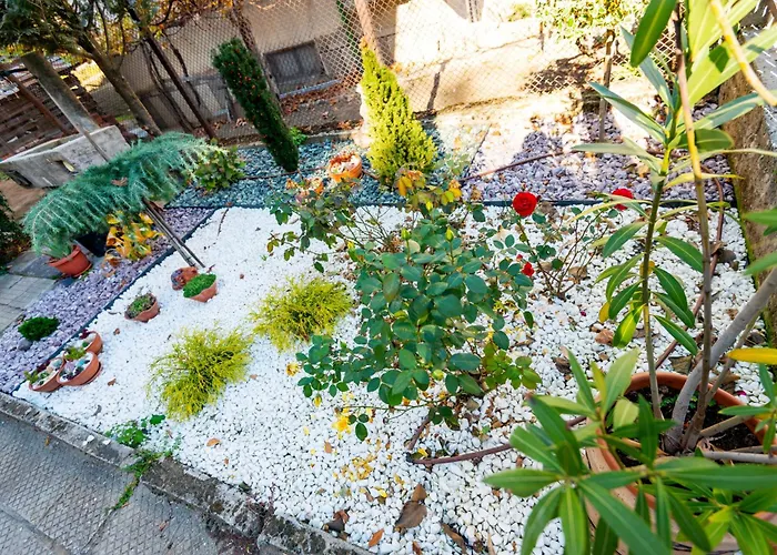 Coworking & Coliving