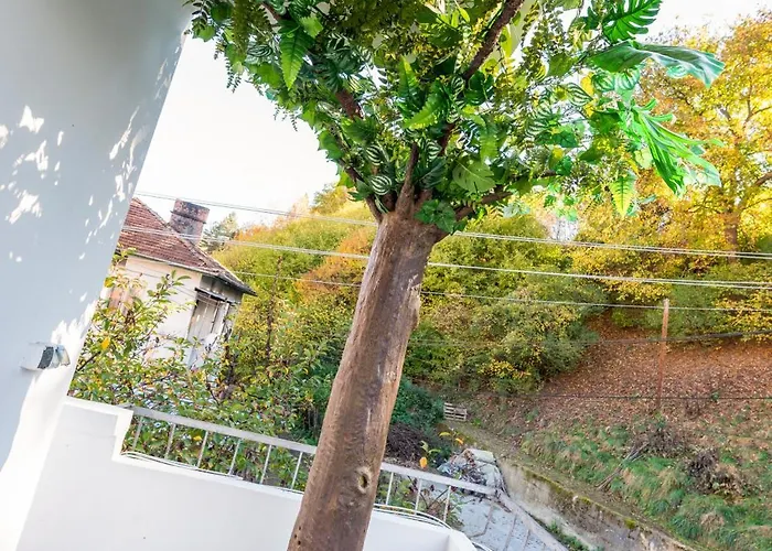 Coworking & Coliving