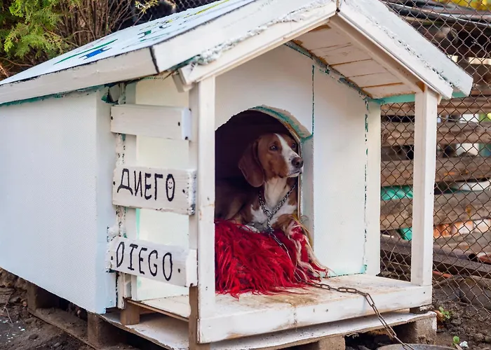 Apartment Coworking & Coliving