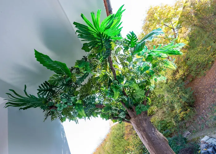 Appartement Coworking & Coliving Devin