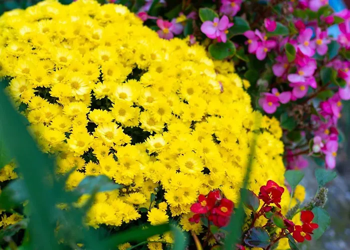 Appartement Coworking & Coliving