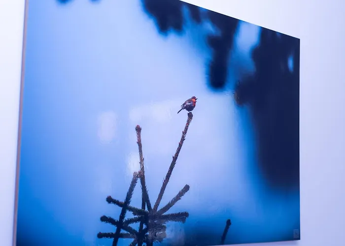 Coworking & Coliving Apartment Devin