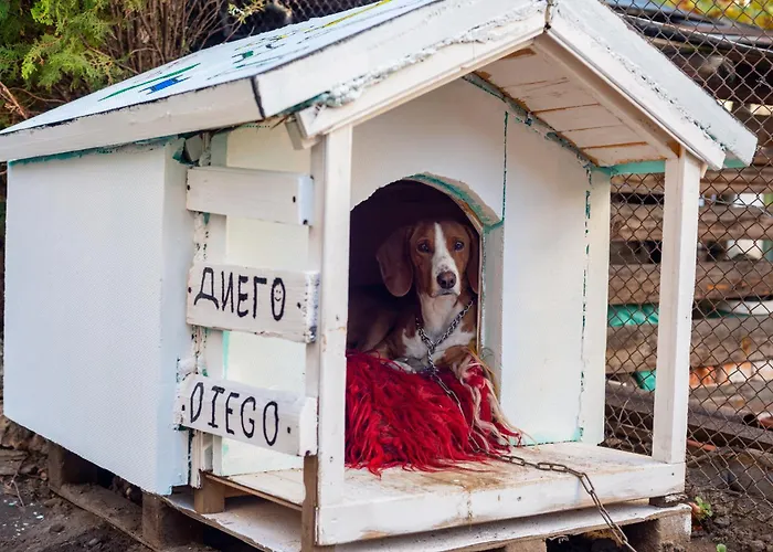 Coworking & Coliving Appartement *