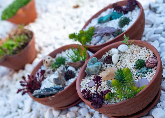 Appartement Coworking & Coliving