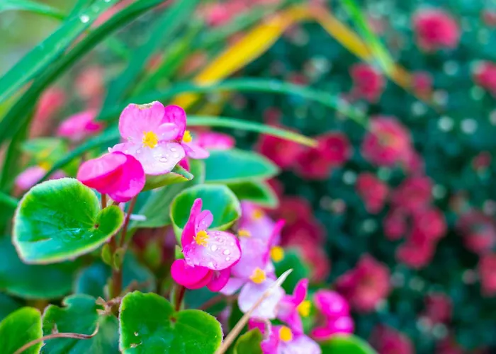 Coworking & Coliving Devin