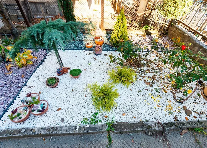 Coworking & Coliving Apartment Devin