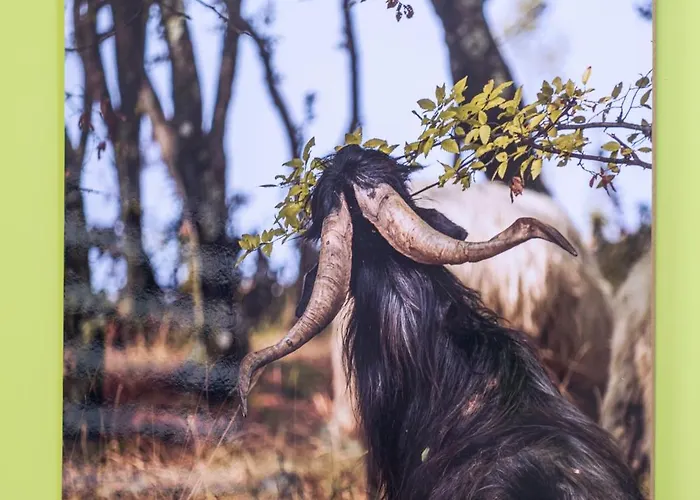 Coworking & Coliving * Devin